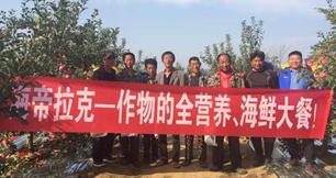 苹果树12月管理技术要点！抓紧时间看