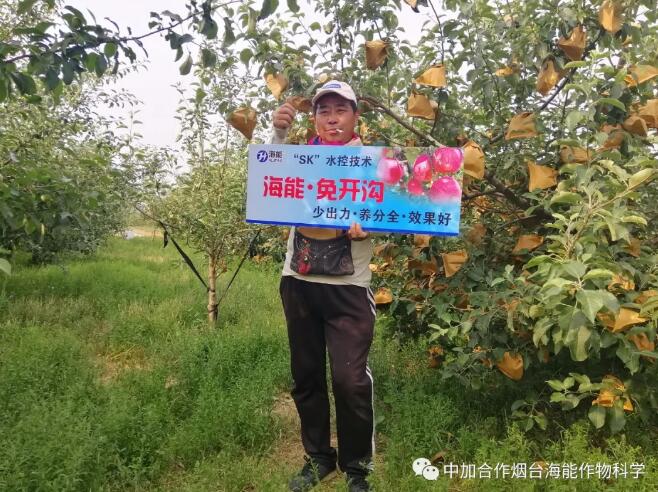 小优视频APP官网入口底肥免开沟 用效果说话！