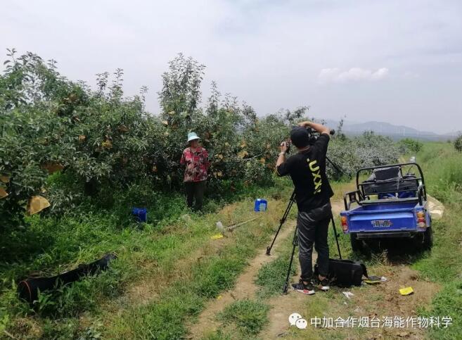 小优视频APP官网入口底肥免开沟 用效果说话！
