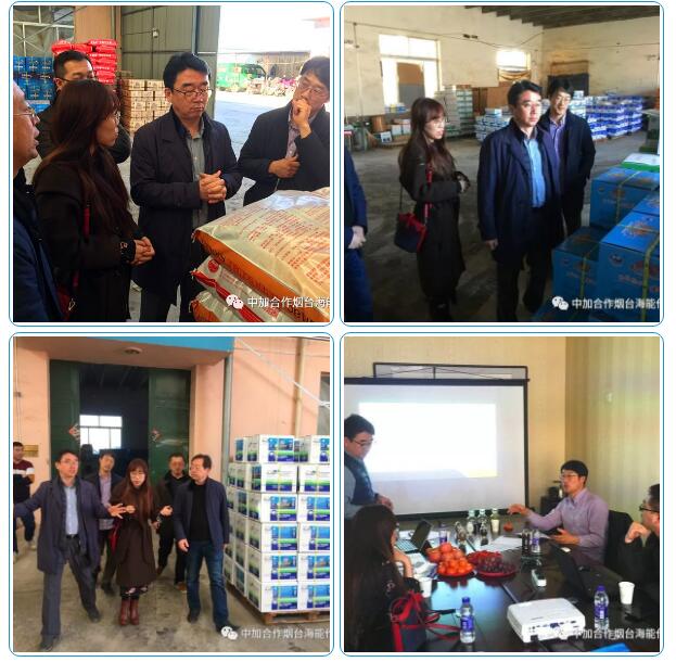 小优视频APP官网入口出口品质，专注服务农业 