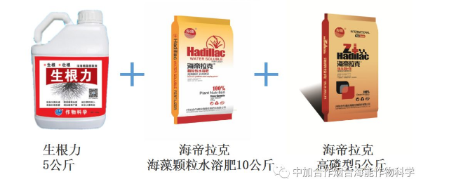 小优视频APP官网入口生物高品质葡萄全程“傻瓜式”施肥方案