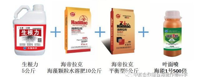 小优视频APP官网入口生物高品质葡萄全程“傻瓜式”施肥方案