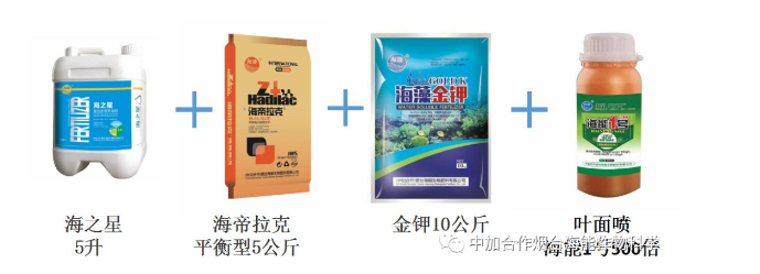 小优视频APP官网入口生物高品质葡萄全程“傻瓜式”施肥方案