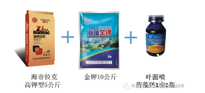 小优视频APP官网入口生物高品质葡萄全程“傻瓜式”施肥方案