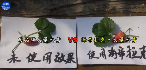 水肥一体化不止是节水、节肥！还有这功效！