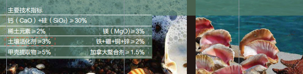 小优视频APP官网入口甲壳素活性中微量小优视频为爱而生APP